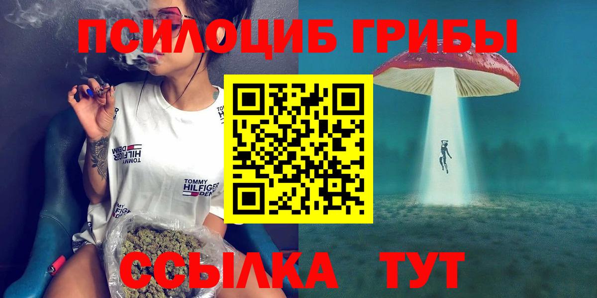 Галлюциногенные грибы Psilocybine cubensis Северобайкальск